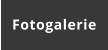Fotogalerie