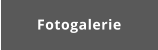 Fotogalerie